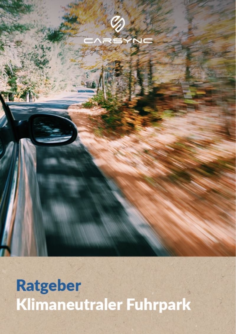 CARSYNC im Alltag